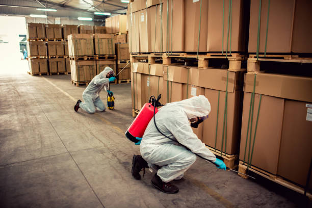 Best Termite Control Services  in Comstock Park, MI