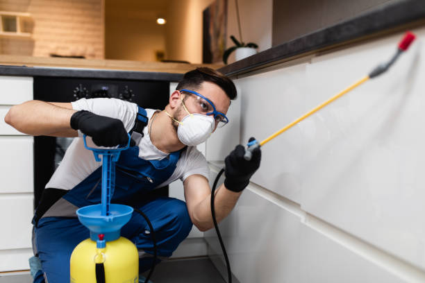 Best Affordable Pest Control Services  in Comstock Park, MI