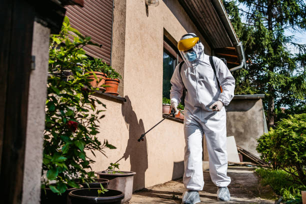 Best Flea Control Services  in Comstock Park, MI