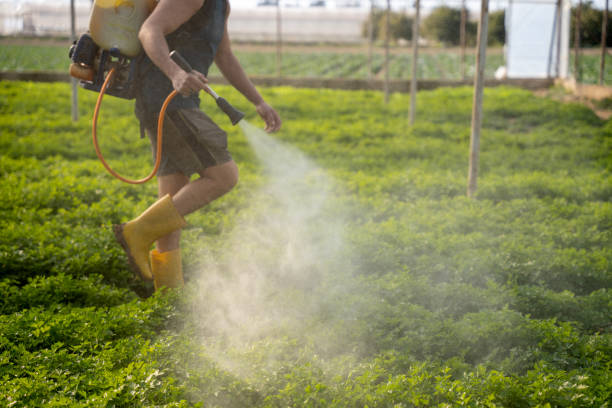 Best Commercial Pest Control Services  in Comstock Park, MI