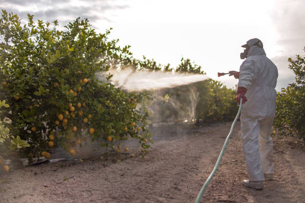 Best Best Pest Control Companies  in Comstock Park, MI