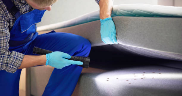 Best Termite Control Services  in Comstock Park, MI