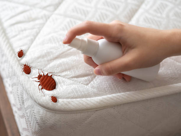 Best Affordable Pest Control Services  in Comstock Park, MI