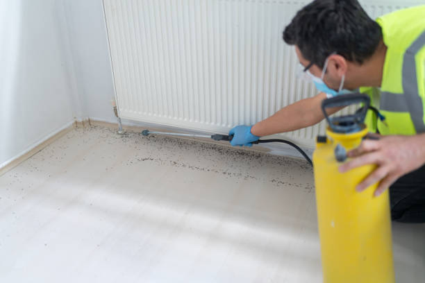 Best Ant Control Services  in Comstock Park, MI
