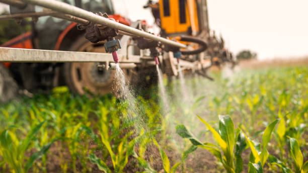 Best Pest Prevention Services  in Comstock Park, MI