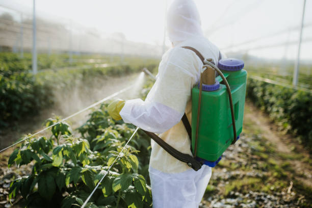 Comstock Park, MI Pest Control Company